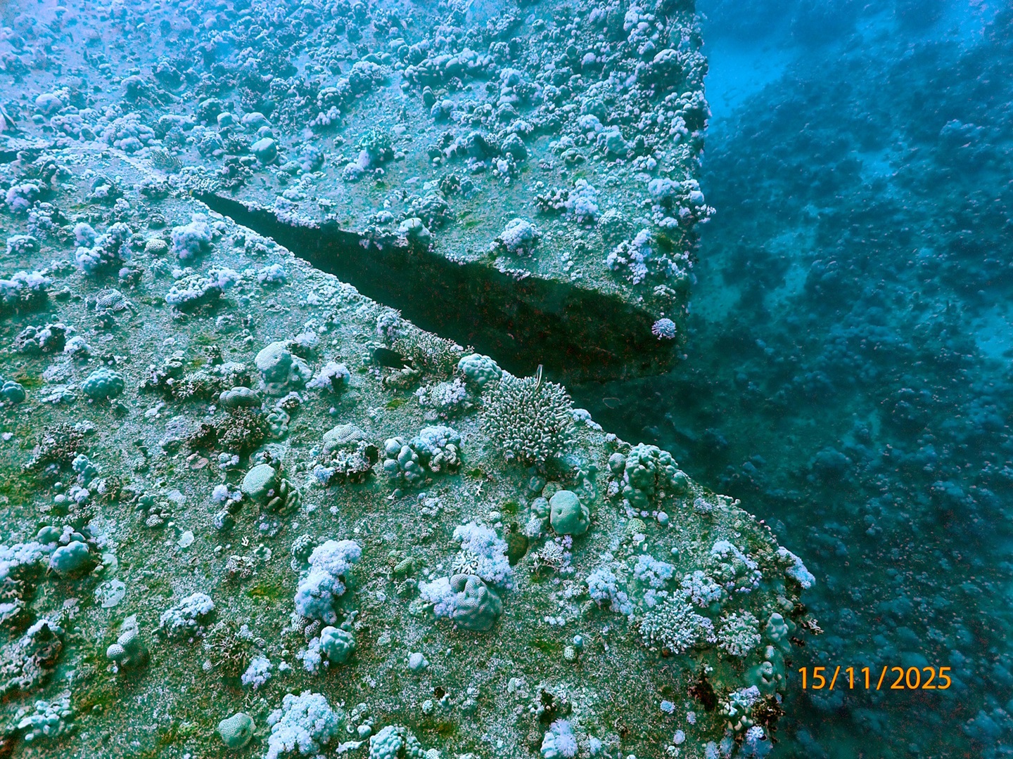 SalemExpressBowCrack