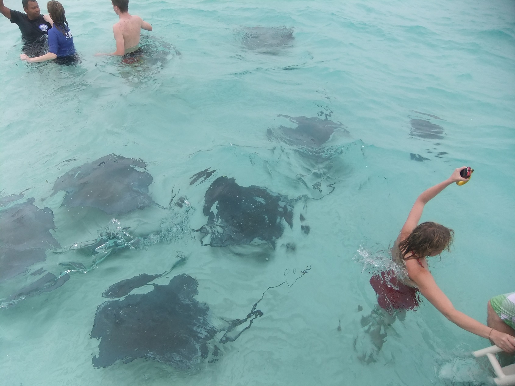 StingrayCity